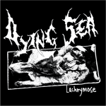 Dying Sea 7" Dying Sea 7"